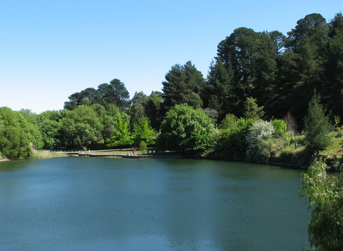 Lake and gardens at Wilson Botanic Park in Berwick